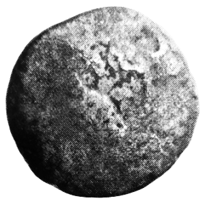 Averz (líc) – BO-000002